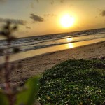 morjim goa sunset