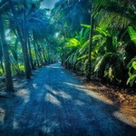 @instagram: #India#????????#Goa#Betalbatim#JungleRoad#????????????