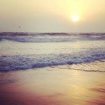 beach holi