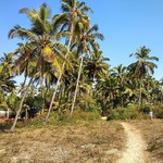 majorda india goa