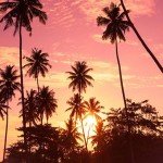 goa