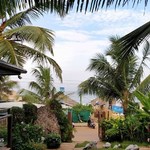 baga goa beach