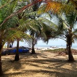 arambol goa
