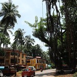 calangute india goa
