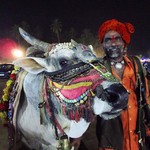 goa market