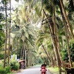 @instagram: Goa ????