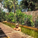 siolim goa nature
