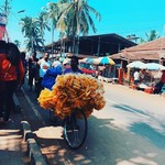 baga india goa holi