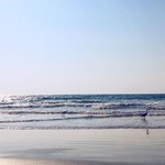 @instagram: Another day, another Goan beach. 
10 days of this bliss is going to be wonderful. ????✨