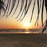 colva goa beach