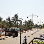 @instagram: Clean and bright. 
#beachtown #coconut #india #goa #candolim