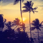 arambol goa