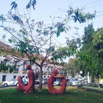 @instagram: