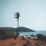 vagator goa