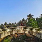 @instagram: I'm in love with these landscapes❤️????️
#goa#india#relax#sun#ocean #bech#sand#palm#palmbeach#colvabeach#colva#индия#отдых#пляж#пальмы#солнце#океан