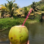 arambol