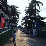 baga goa beach