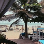 goa trees