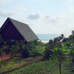 vagator goa beach