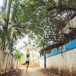 calangute goa