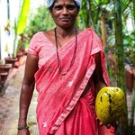 @instagram: Вот такой вот кадр сегодня поймала ) ну красотка же , скажите?)????
.
.
#мамаиндия #индия #goa #monsoon☔#ashvem #rococcoashvem