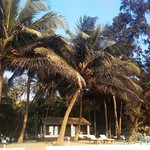 @instagram: #ашвем,  #ashvem