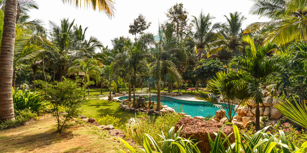 Farm Villa β Luxury villa for rent in Raia
