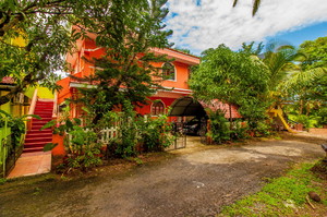 Sophia apartment — Apartment for rent in Benaulim
