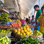Goa Fruits Gallery: Mango, Watermelon, Papaya, Banana, Pineapple
