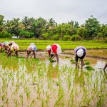 Goa Margao