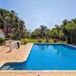 Goa May Gallery: Markets, Fruits, Weather, Beaches